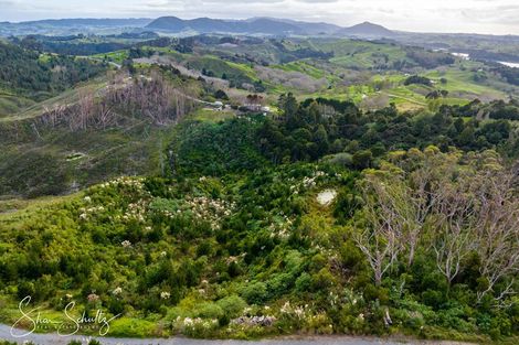 Photo of property in 800 Bickerstaffe Road, Maungaturoto, 0587