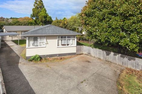Photo of property in 99 Universal Drive, Henderson, Auckland, 0610