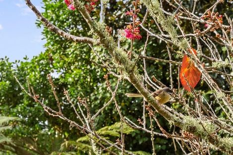 Photo of property in 9 Mcfarlane Street, Oakura, 4314