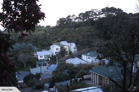 Photo of property in 13 Mortimer Terrace, Aro Valley, Wellington, 6021