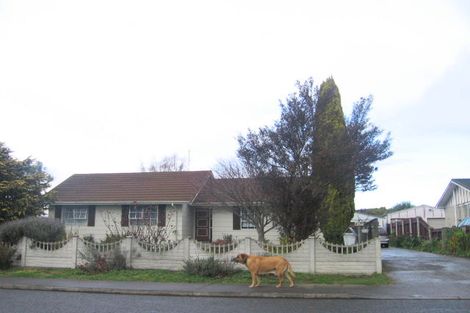 Photo of property in 17 Margate Avenue, Flaxmere, Hastings, 4120