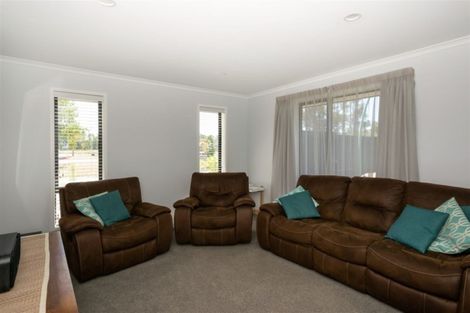 Photo of property in 239 Taylor Pass Road, Witherlea, Blenheim, 7201