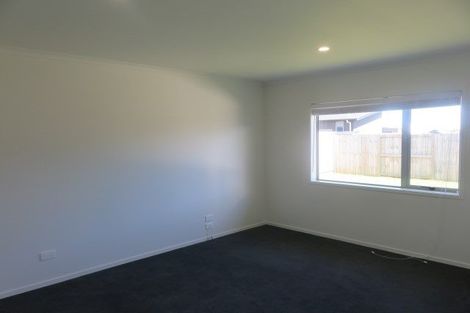 Photo of property in 14 Ladeira Place, Fitzroy, Hamilton, 3206