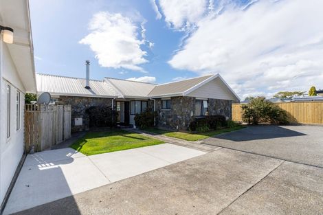 Photo of property in 102a Queen Street West, Levin, 5510