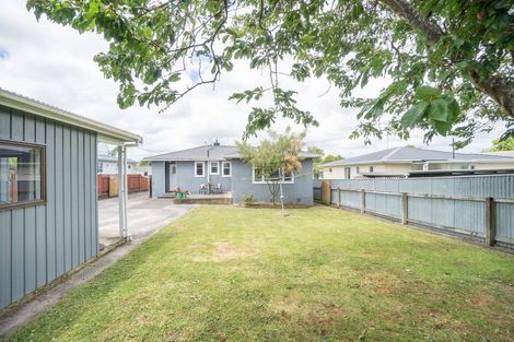 Photo of property in 29 Galway Avenue, Hokowhitu, Palmerston North, 4410