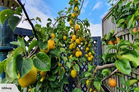 Photo of property in 2/40 Grimseys Road, Redwood, Christchurch, 8051