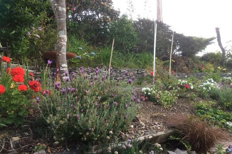 Photo of property in 58 Grand View Road, Leigh, 0985