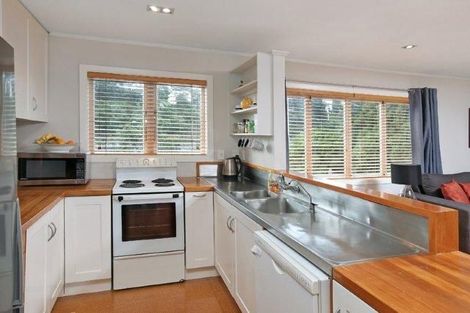 Photo of property in 29 Buchanan Street, Kingsland, Auckland, 1021