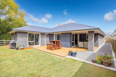 Photo of property in 41b Acacia Avenue, Kihikihi, Te Awamutu, 3800