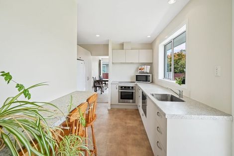 Photo of property in 17 Blakiston Street, Hoon Hay, Christchurch, 8025