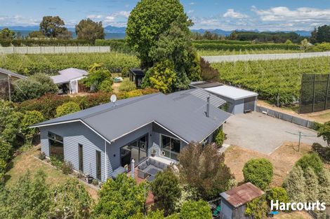 Photo of property in 26 Wharf Road, Riwaka, Motueka, 7198