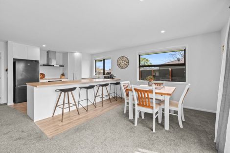 Photo of property in 20 David Street, Hinds, Ashburton, 7773