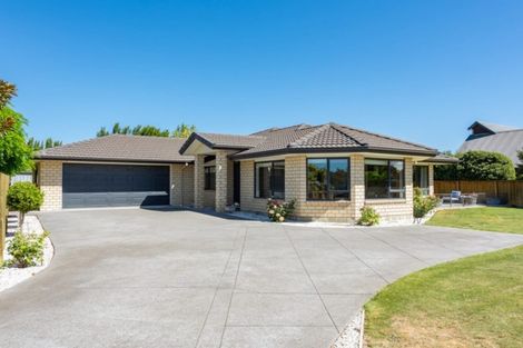 Photo of property in 19 Hilton Place, Blenheim, 7201