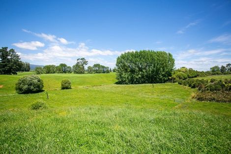 Photo of property in 26a Brown Road, Te Poi, Tirau, 3485