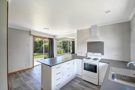 Photo of property in 217 Union Street, Milton, 9220