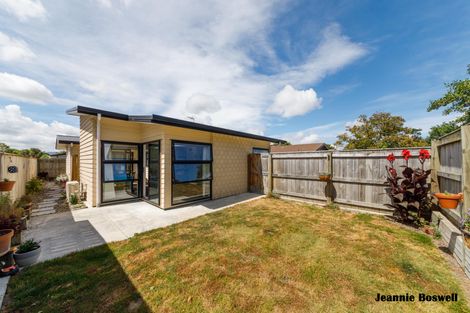 Photo of property in 60a Rongopai Street, Palmerston North, 4414