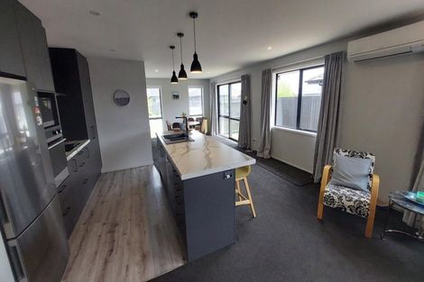 Photo of property in 13 Catlin Street, Marshland, Christchurch, 8083