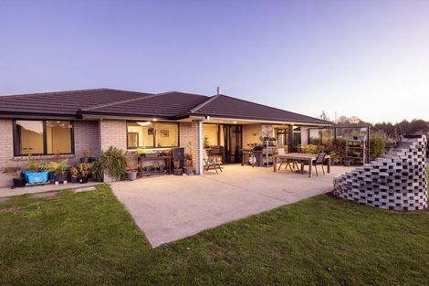 Photo of property in 264 Mcphail Road, Oropi, Tauranga, 3173
