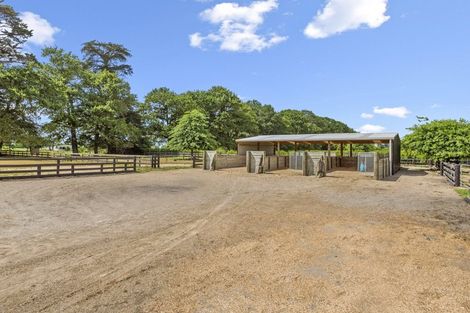 Photo of property in 499 Bruntwood Road, Tamahere, Cambridge, 3493