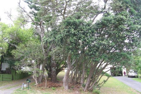 Photo of property in 40 Hellyers Street, Birkdale, Auckland, 0626