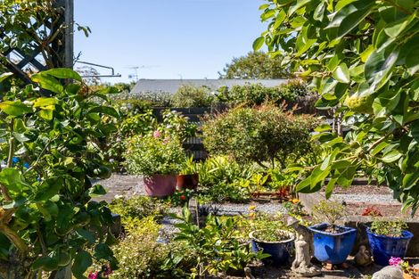 Photo of property in 52 Andrew Street, Waikanae, 5036