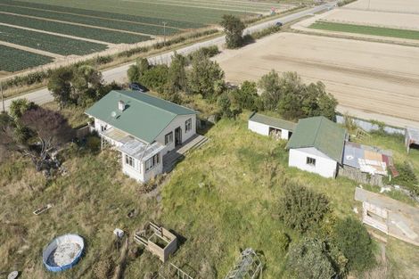 Photo of property in 178 Cd Farm Road, Levin, 5571