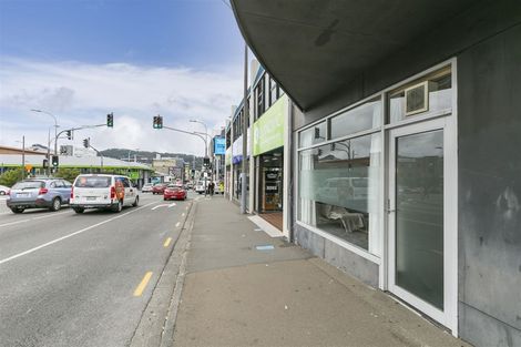 Photo of property in 195 Vivian Street, Te Aro, Wellington, 6011