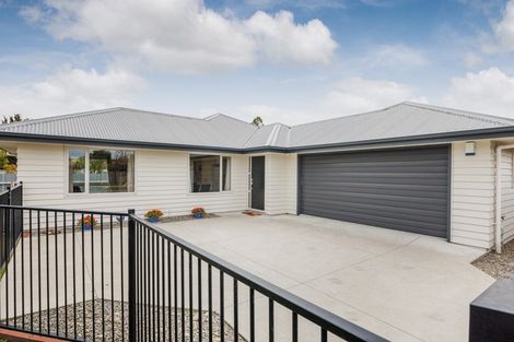 Photo of property in 64 Salisbury Street, Ashhurst, 4810