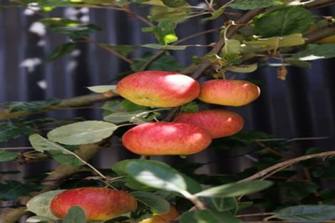 Photo of property in 158 North Avon Road, Richmond, Christchurch, 8013