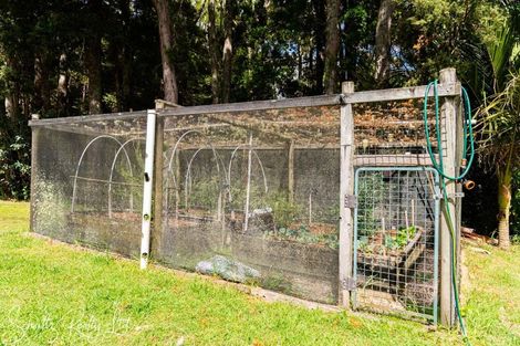 Photo of property in 356 Bull Road, Paparoa, Waiotira, 0193