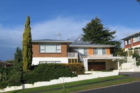 Photo of property in 117 Aberdeen Drive, Dinsdale, Hamilton, 3204