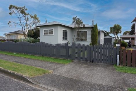Photo of property in 123-125 Tiro Tiro Road, Levin, 5510