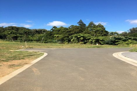 Photo of property in 5 Okoare Lane, Ferndale, New Plymouth, 4310