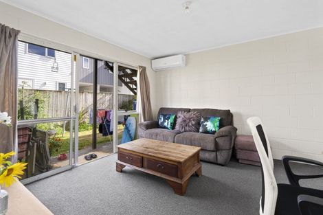 Photo of property in 45 York Street, Hamilton East, Hamilton, 3216