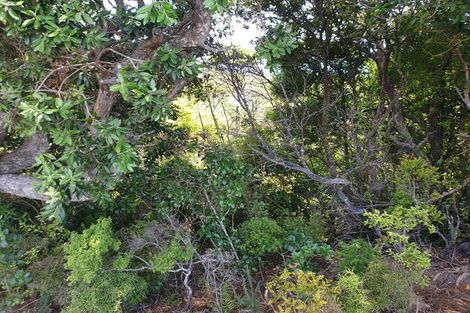 Photo of property in 949 Tuateawa Road, Waikawau, Coromandel, 3584