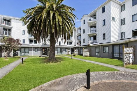 Photo of property in Palm Grove Apartments, 12/13d Palm Grove, Berhampore, Wellington, 6023