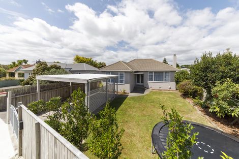 Photo of property in 20 East Street, Terrace End, Palmerston North, 4410