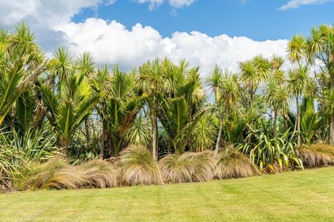 Photo of property in 91 Whaka Street, Maungaturoto, 0520