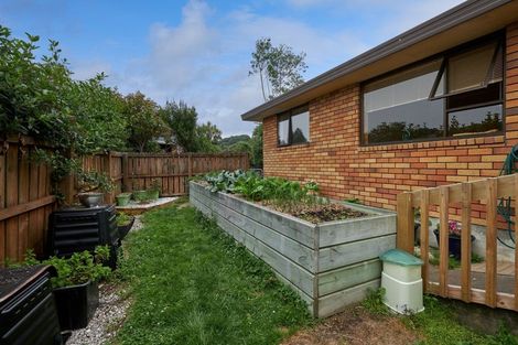 Photo of property in 283b Scarborough Street, Kaikoura, 7300