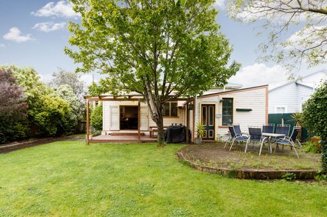 Photo of property in 35 Fitzroy Street, Terrace End, Palmerston North, 4410