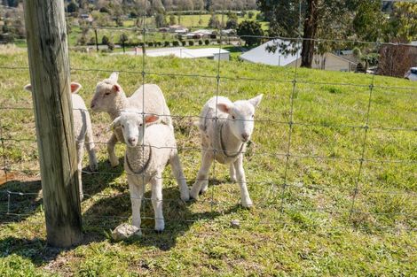 Photo of property in 236a Lord Rutherford Road, Brightwater, 7091