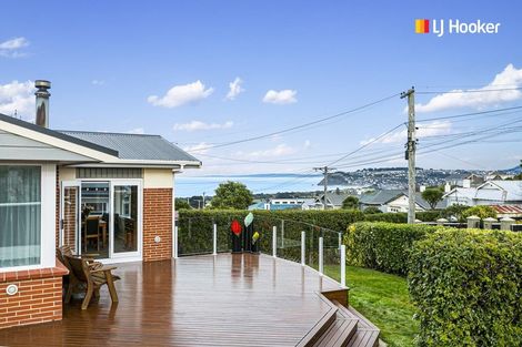 Photo of property in 36 Oakland Street, Andersons Bay, Dunedin, 9013
