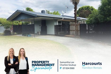 Photo of property in 49 Fitzroy Avenue, Fitzroy, Hamilton, 3206