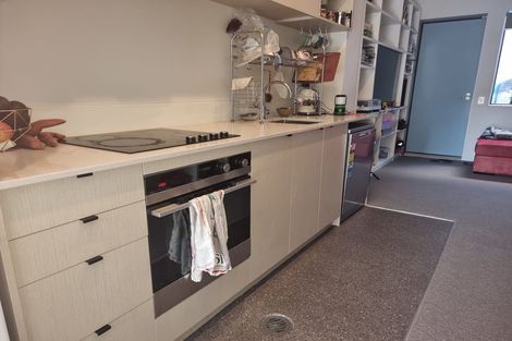 Photo of property in Aniva Terrace, 12 Arney Street, Newtown, Wellington, 6021