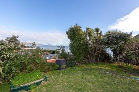 Photo of property in 17 The Esplanade, Raumati South, Paraparaumu, 5032
