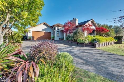 Photo of property in 214 Carmichael Road, Bethlehem, Tauranga, 3110