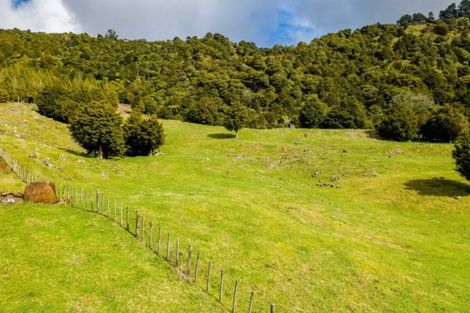 Photo of property in 6861 State Highway 12, Waimamaku, Kaikohe, 0473