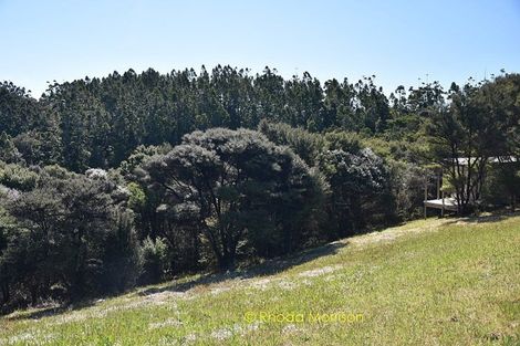 Photo of property in 17 Te Wairoa Lane, Tinopai, Matakohe, 0593