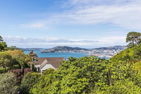 Photo of property in 28 Amritsar Street, Khandallah, Wellington, 6035