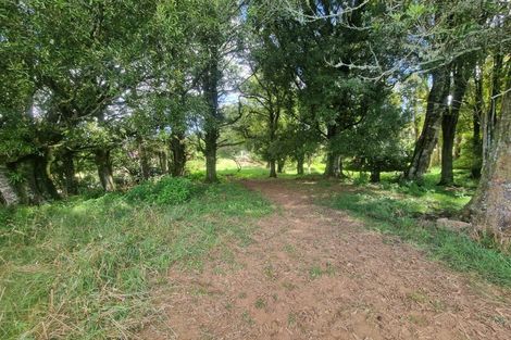 Photo of property in 358 Mangaotaki Road, Piopio, 3971
